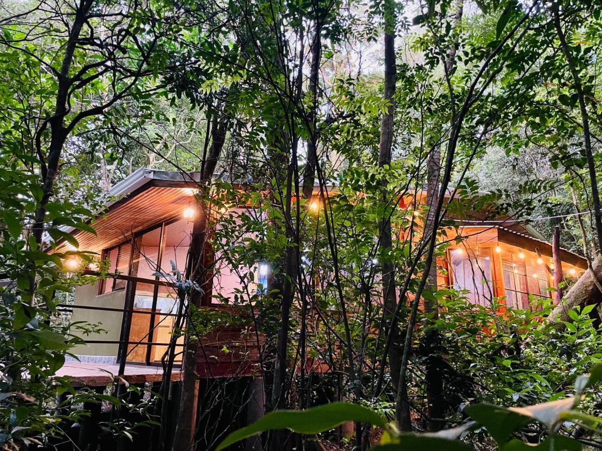 Cabanas La Montana Monteverde Buitenkant foto
