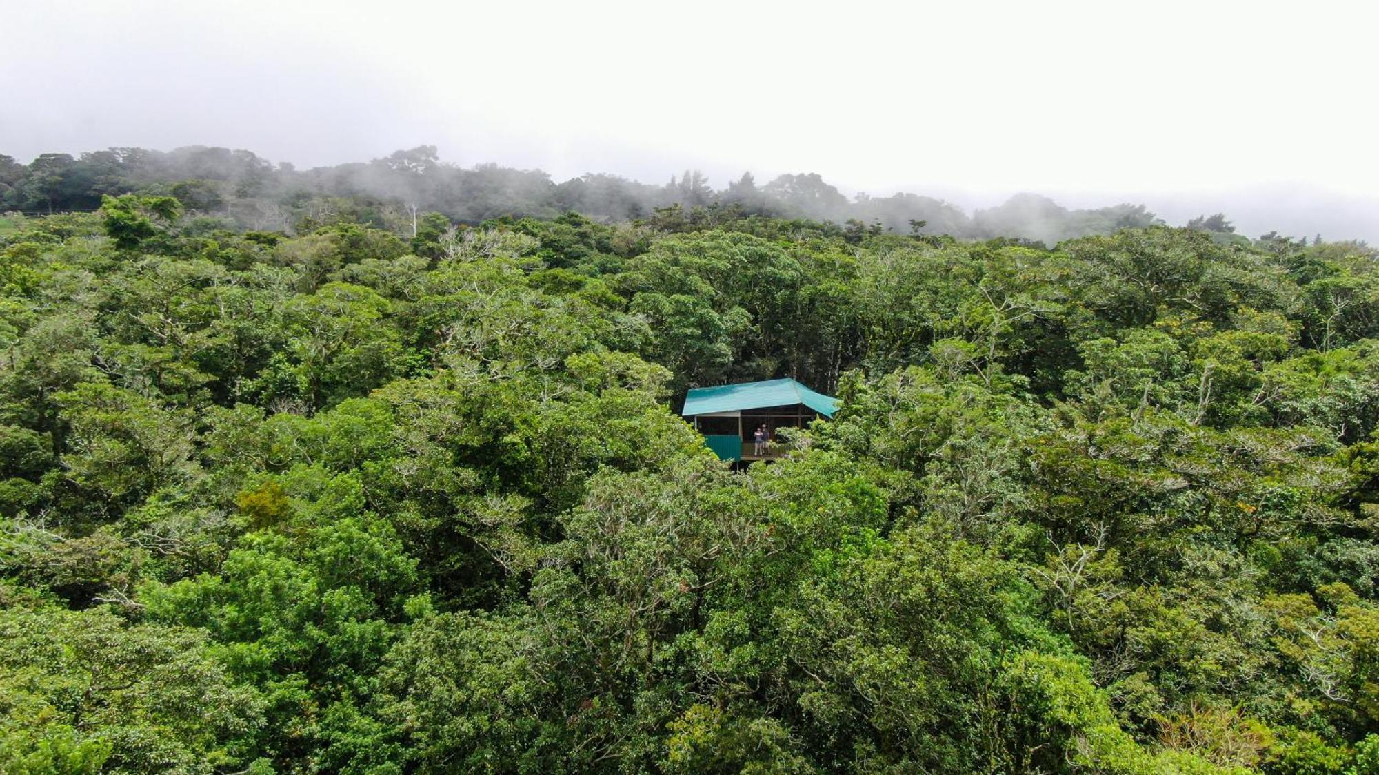 Cabanas La Montana Monteverde Buitenkant foto