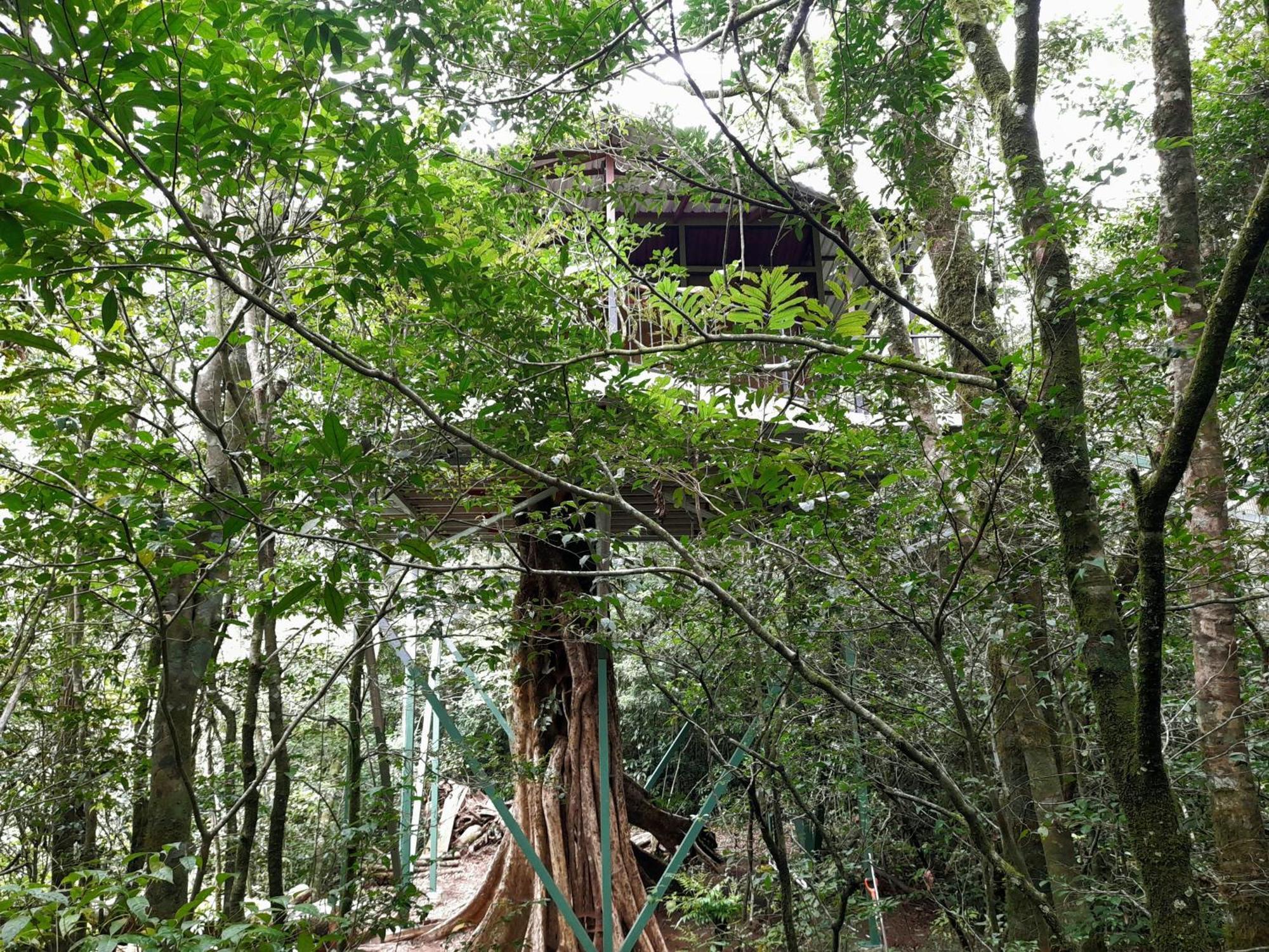 Cabanas La Montana Monteverde Buitenkant foto