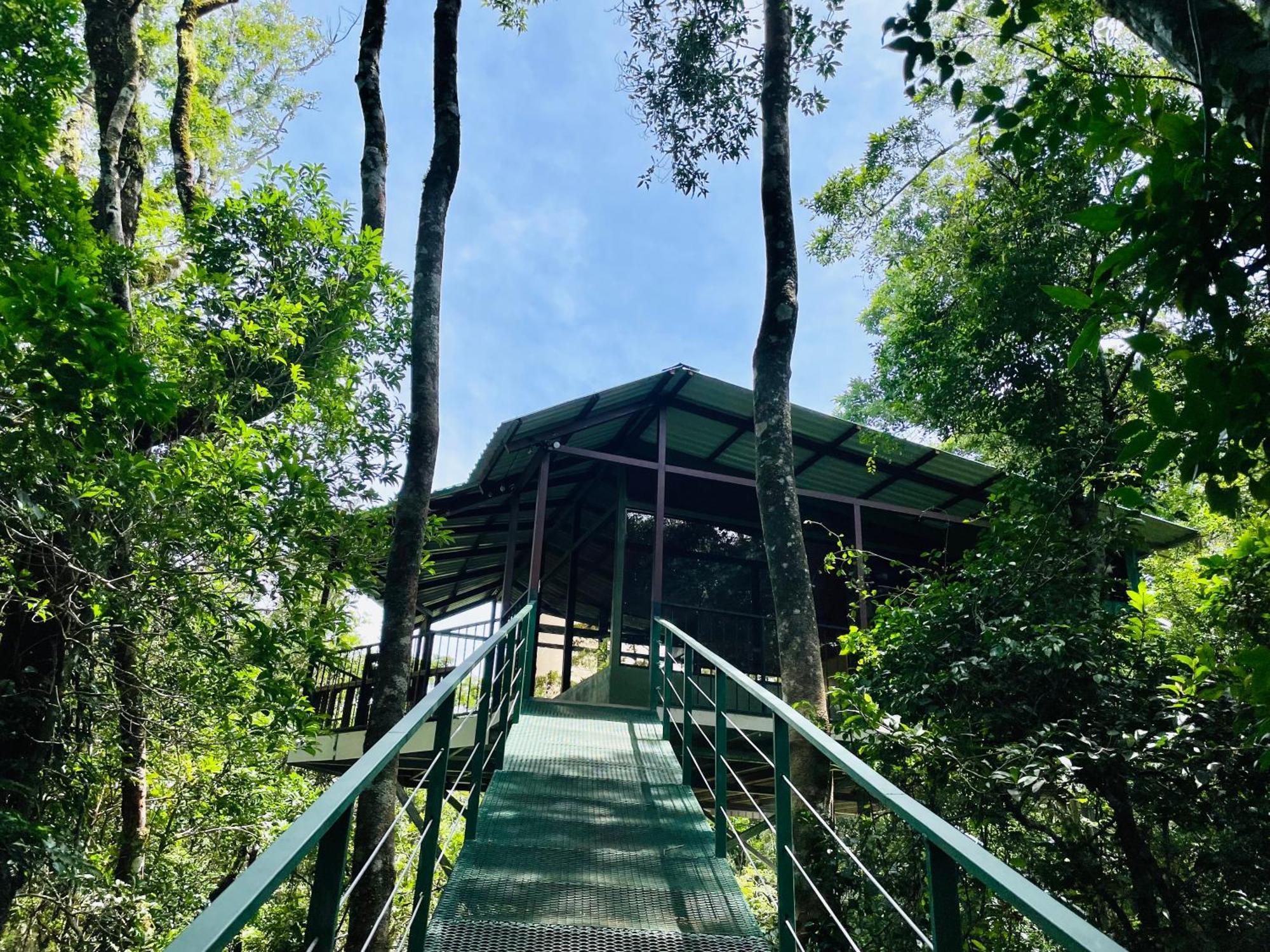 Cabanas La Montana Monteverde Buitenkant foto