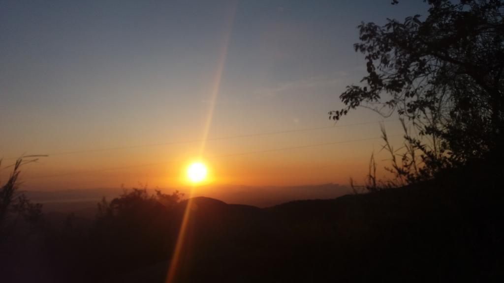 Cabanas La Montana Monteverde Buitenkant foto